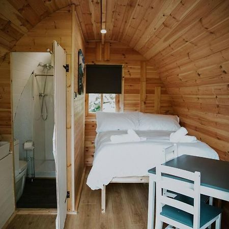 Ash Winter Retreat- Hot Tub & Log Bruner Barmouth Esterno foto